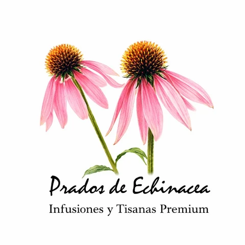 Logo de Prados de Echinacea